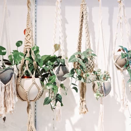 a bunch of different macrame plant hangers all lined up next to each other against a white wall