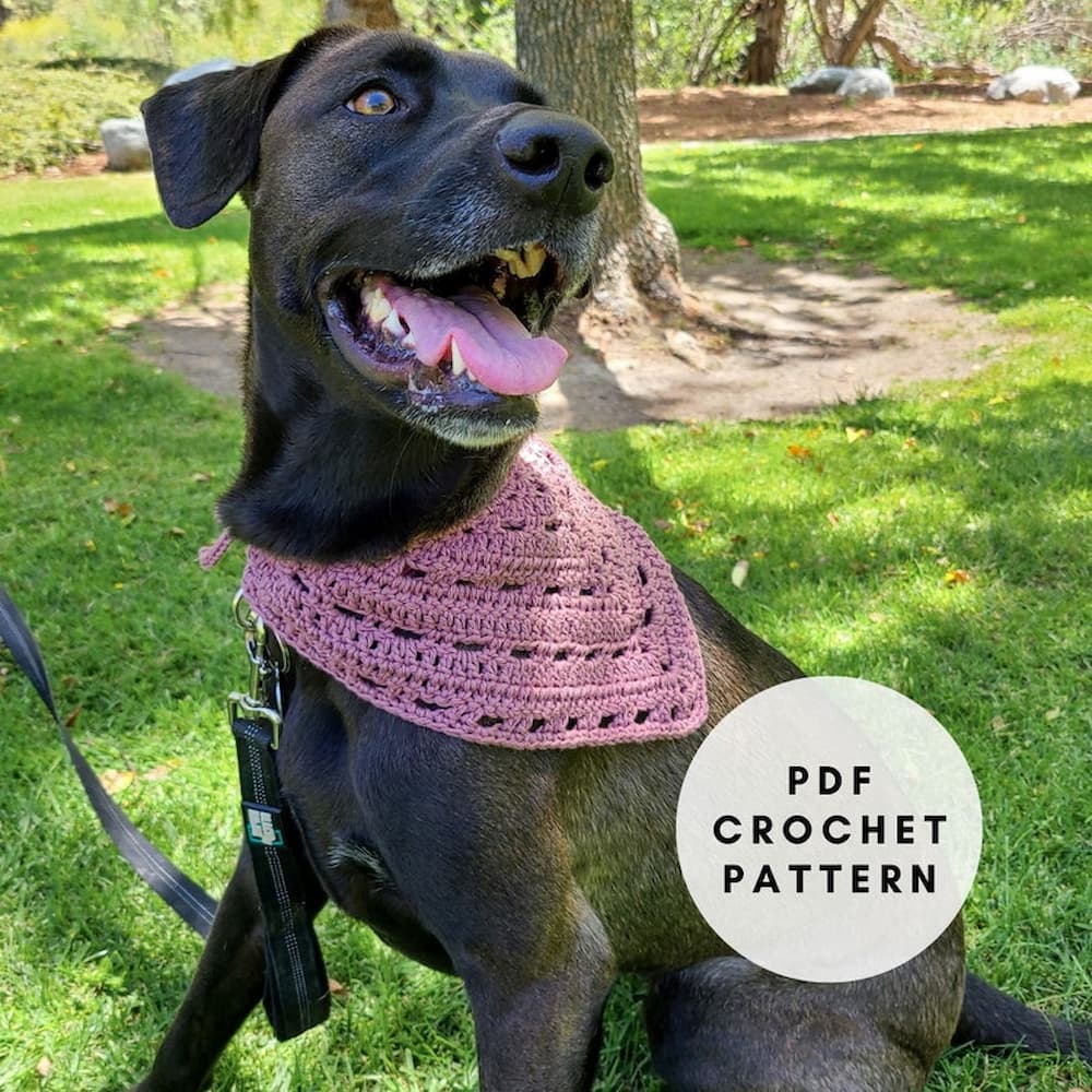 how-to-crochet-a-dog-bandana-16-cute-patterns-marching-north
